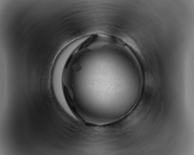 X0000092211226200709210944