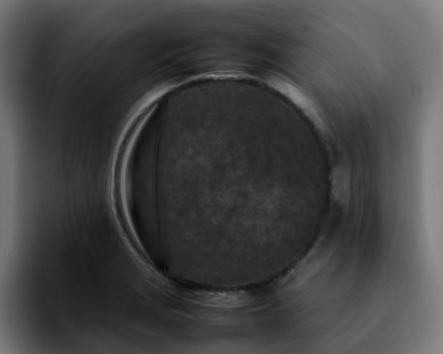 X0000092211229200709210944