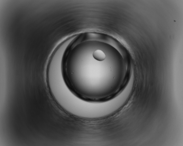 X0000092211230200709210944