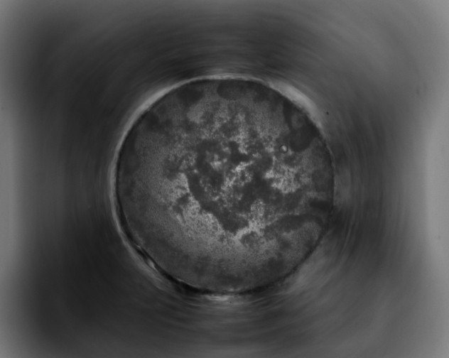 X0000092211231200709210944