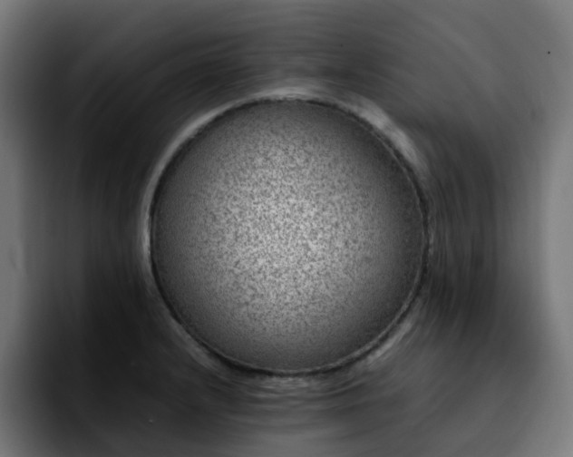 X0000092211232200709210944