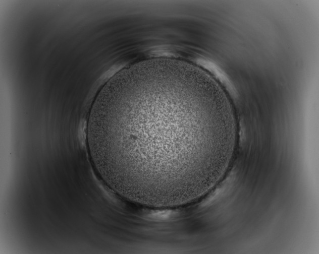 X0000092211233200709210944