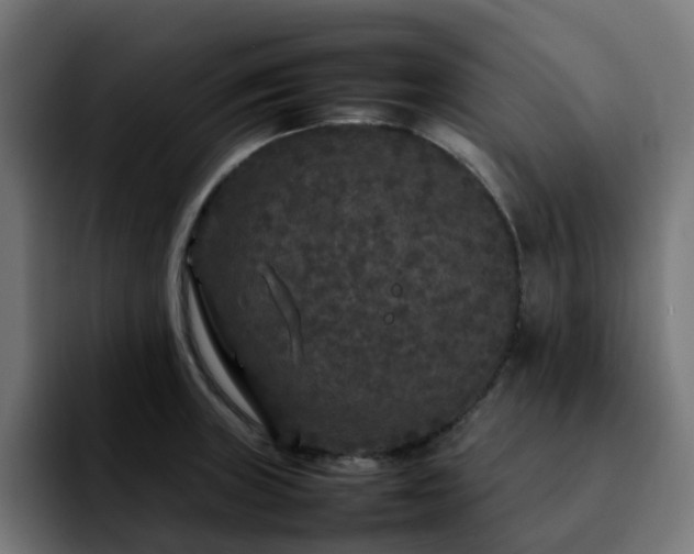 X0000092211235200709210944