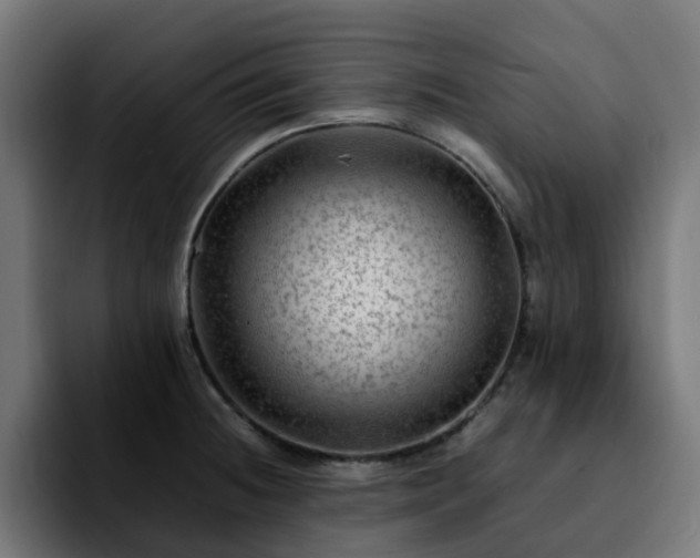 X0000092211236200709210944