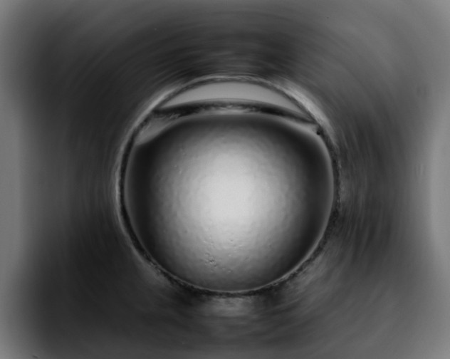 X0000092211237200709210944