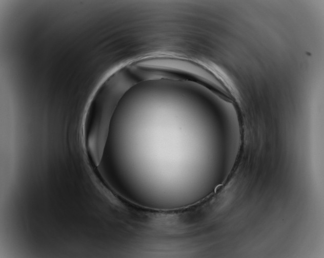 X0000092211238200709210944