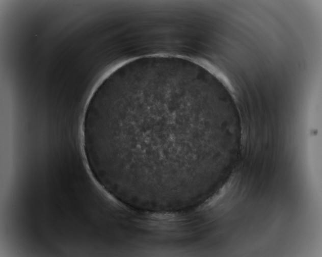 X0000092211239200709210944