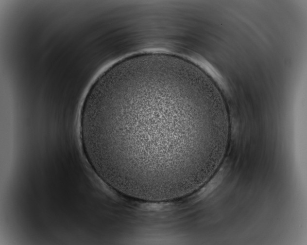 X0000092211240200709210944