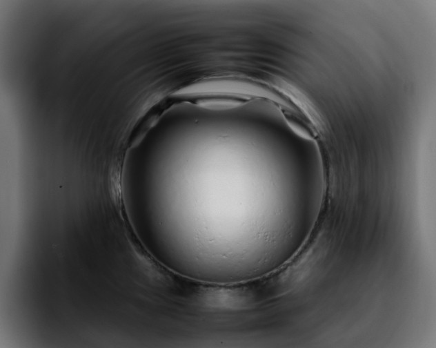 X0000092211241200709210944