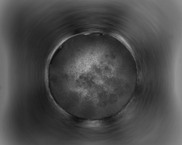 X0000092211243200709210944