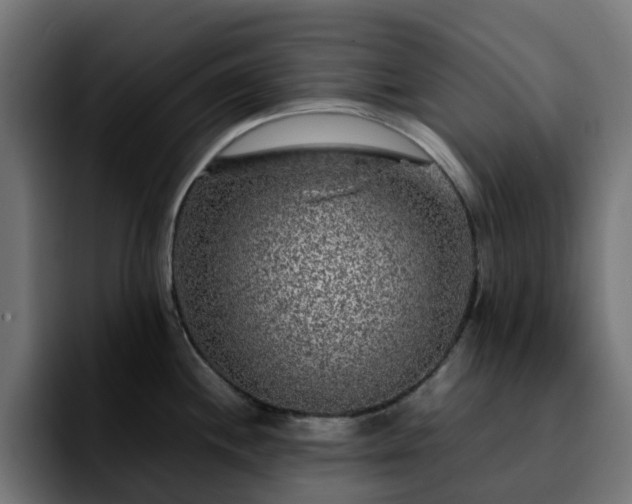 X0000092211244200709210944