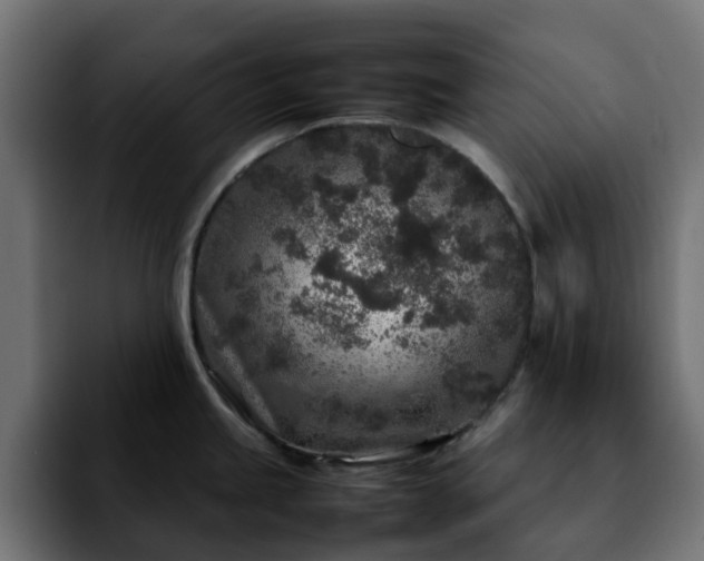 X0000092211245200709210944