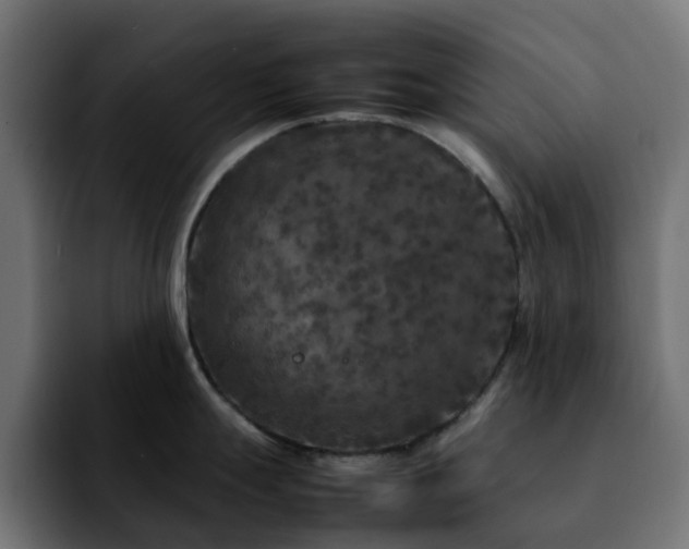 X0000092211247200709210944