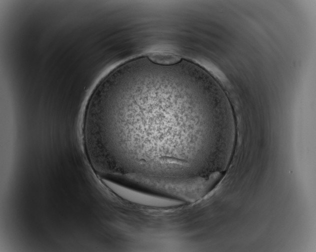 X0000092211248200709210944