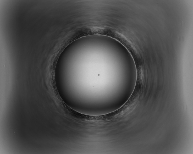 X0000092211249200709210943