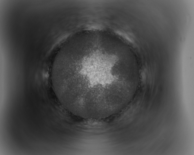 X0000092211254200709210943