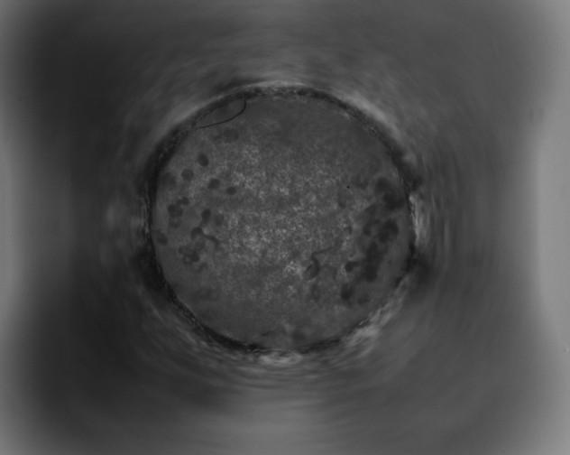 X0000092211255200709210943