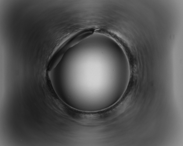 X0000092211257200709210943