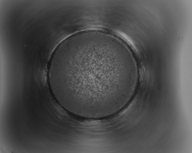 X0000092211260200709210943