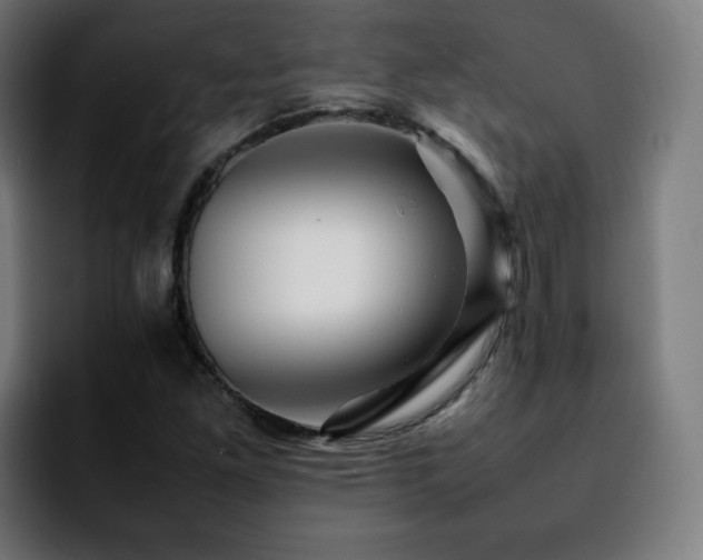 X0000092211261200709210943