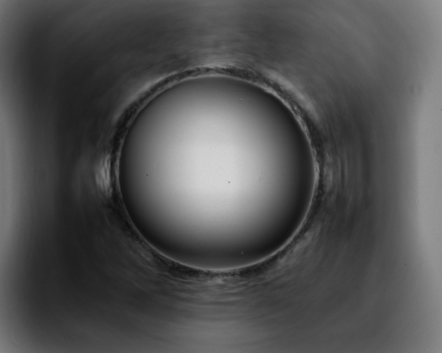 X0000092211262200709210943