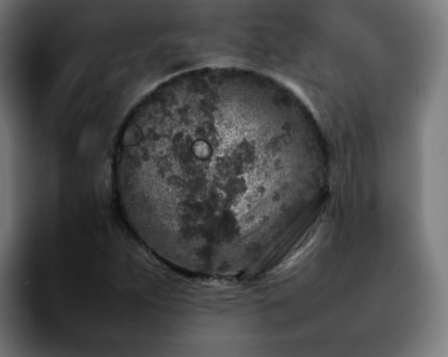 X0000092211263200709210943