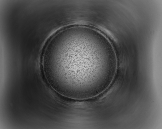 X0000092211264200709210943