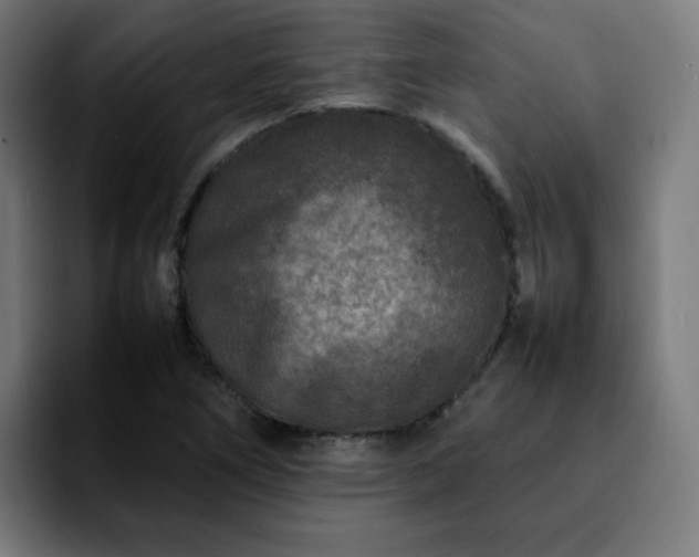 X0000092211266200709210943