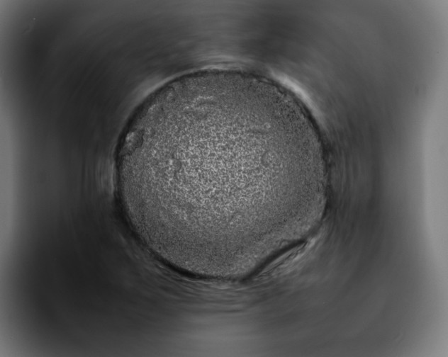 X0000092211267200709210943