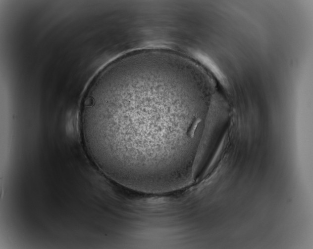 X0000092211268200709210943