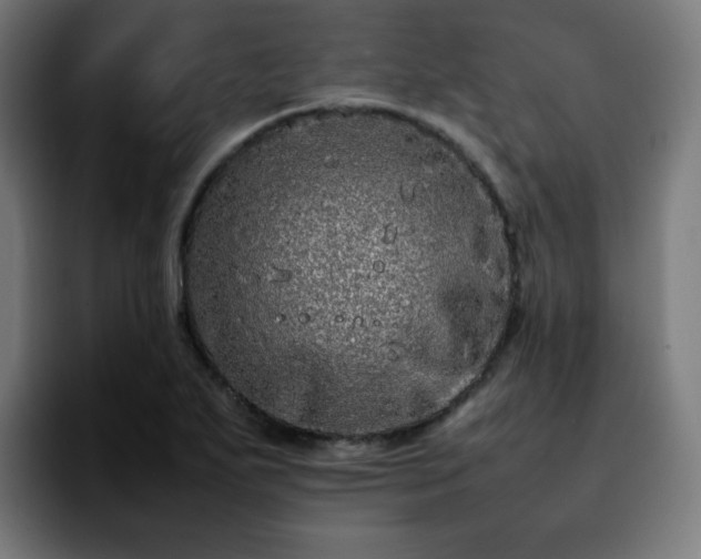 X0000092211271200709210943