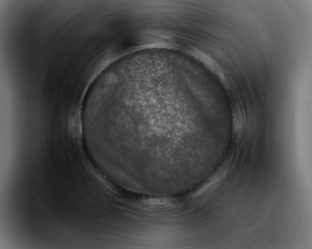 X0000092211274200709210943