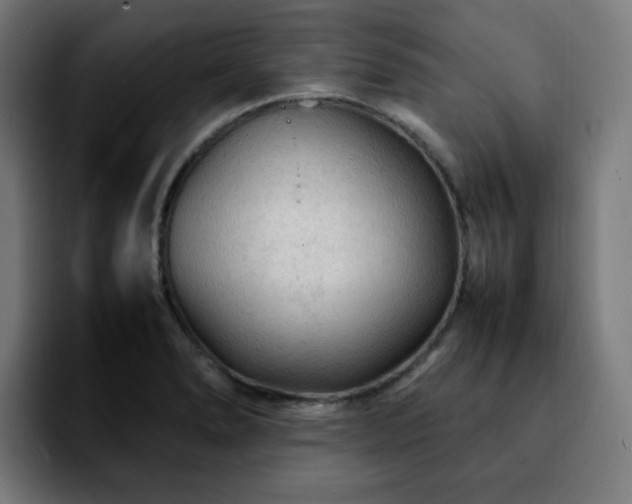 X0000092211278200709210943