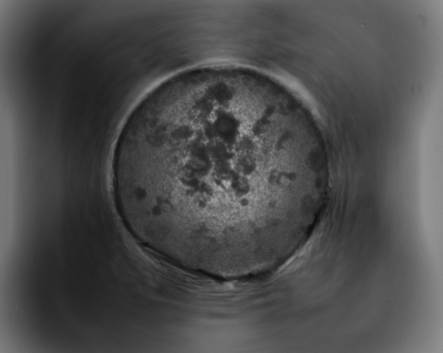 X0000092211279200709210943