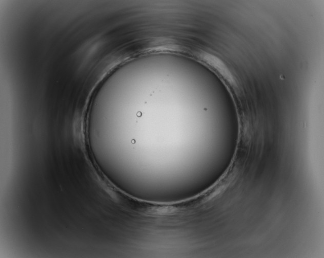 X0000092211282200709210943