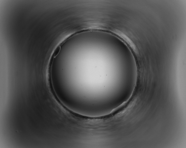 X0000092211285200709210943