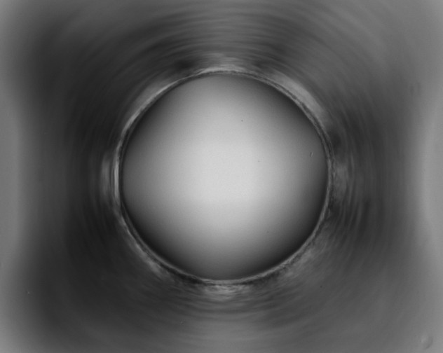 X0000092211290200709210943