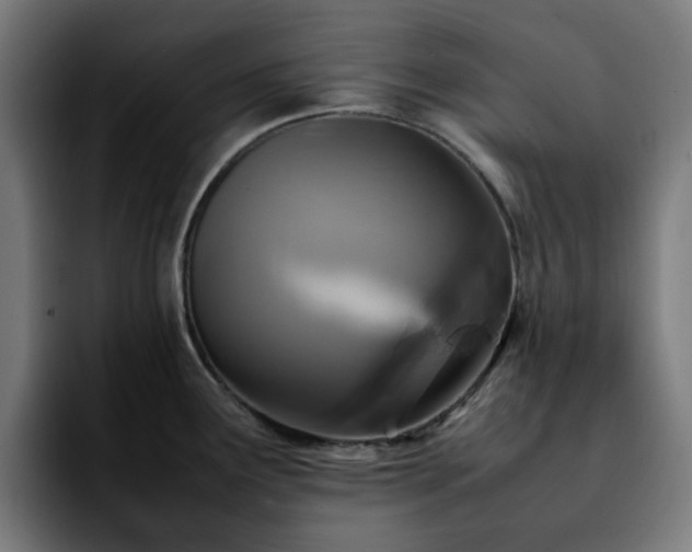 X0000092211291200709210943