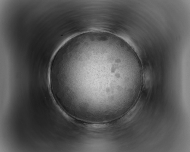 X0000092211294200709210943