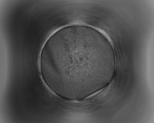 X0000092211295200709210943