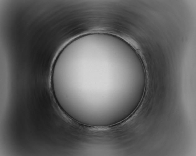 X0000092211296200709210943