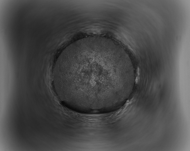 X0000092211297200709210942