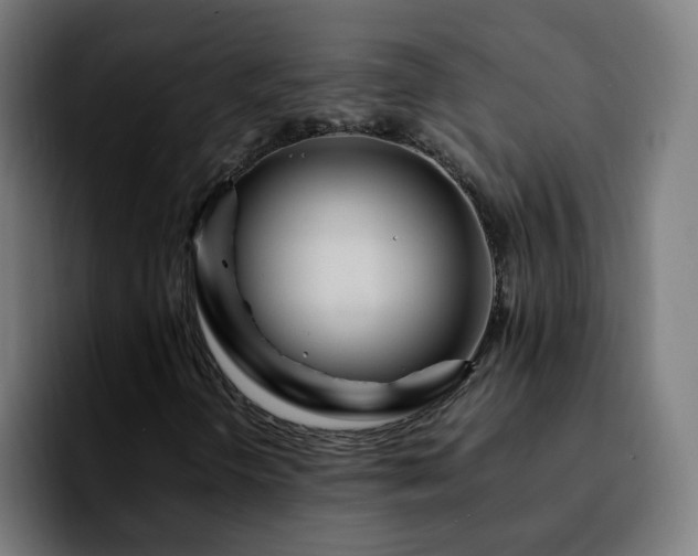 X0000092211298200709210942