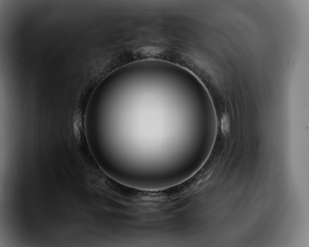 X0000092211299200709210942