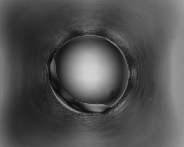 X0000092211300200709210942