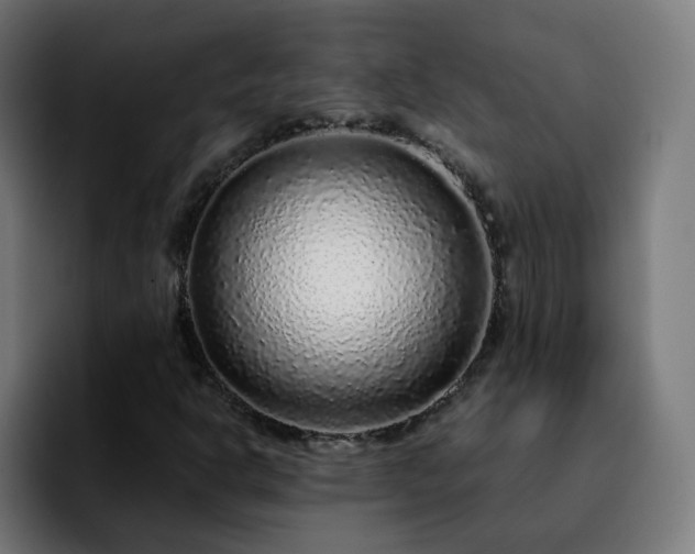 X0000092211302200709210942