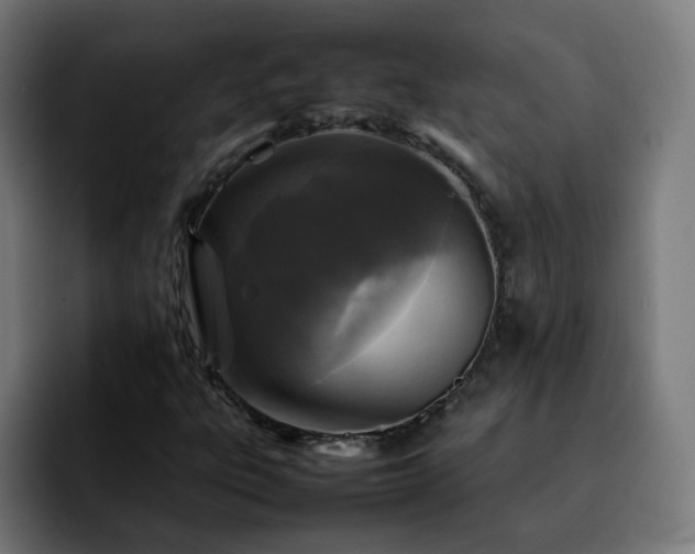 X0000092211303200709210942