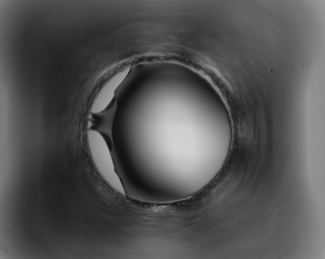 X0000092211304200709210942