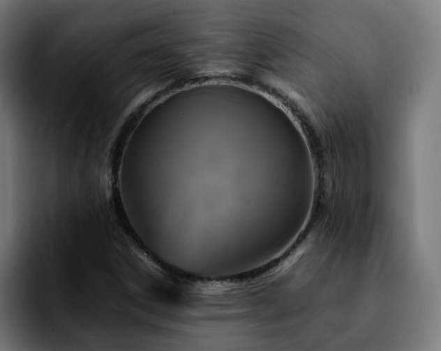 X0000092211306200709210942