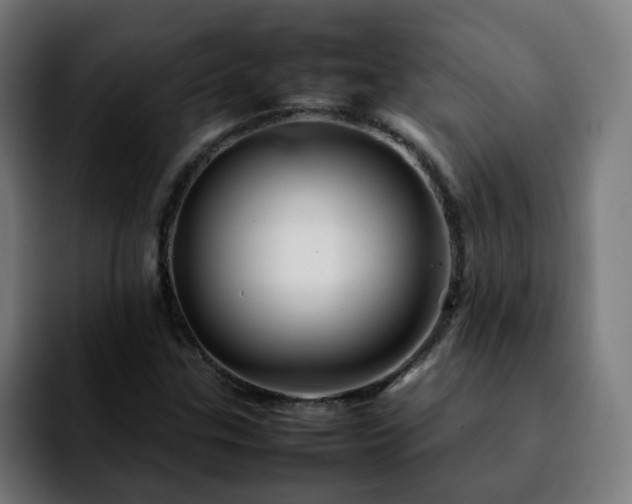 X0000092211307200709210942